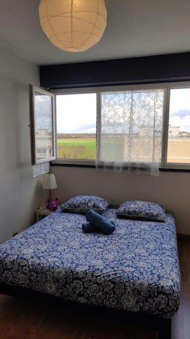Charmant Appartement Proche Melun Centre Ville Εξωτερικό φωτογραφία